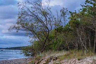 德甲高压战术下球员冲刺频率与决策质量的平衡机制分析